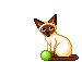 Avatar de l’utilisateur